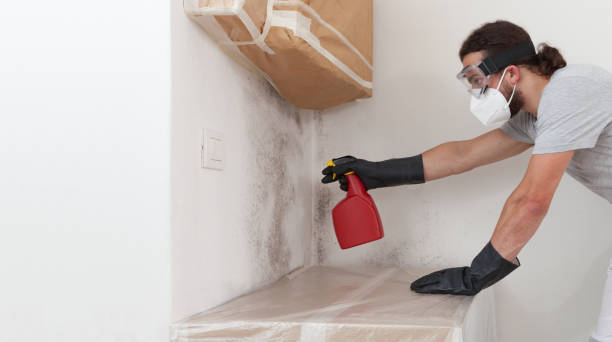 Professional Bathroom Mold Removal technician working in Richwood, NJ
